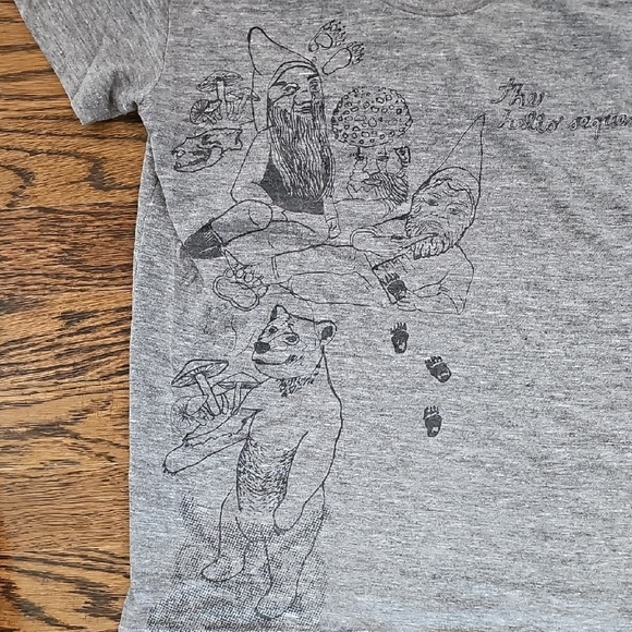 The Helio Sequence Gray Graphic Woman's T-Shirt - Picture 3 of 7